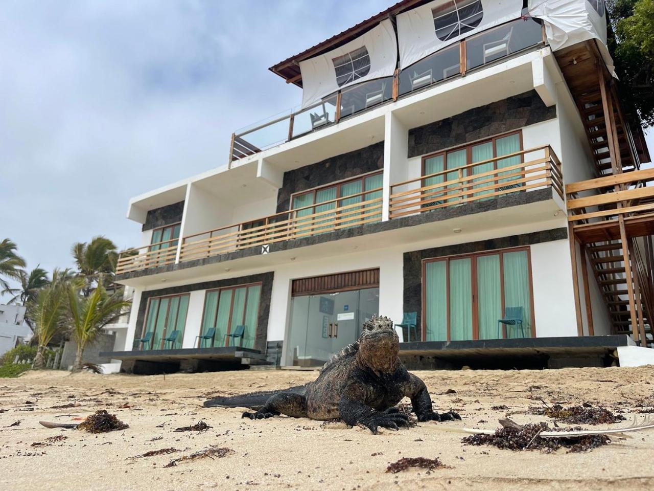 Bed and Breakfast Cormorant Beach House Пуерто-Вільяміль Екстер'єр фото