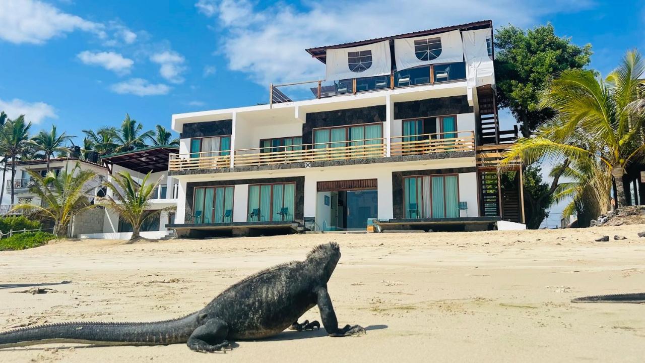 Bed and Breakfast Cormorant Beach House Пуерто-Вільяміль Екстер'єр фото